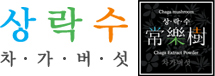 상락수 차가버섯