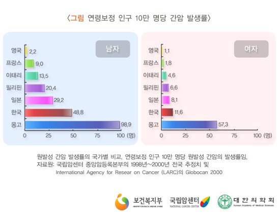 연령보정 인구 10만명당 간암 발생률