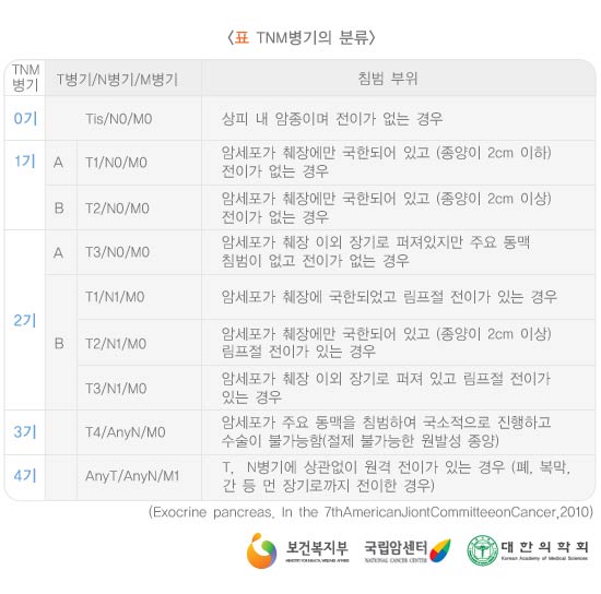 T(Tumor) TNM병기의 분류