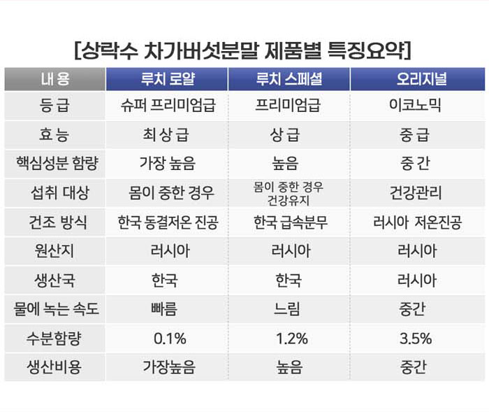 상락수 차가버섯 추출분말 루치로얄·루치스페셜·오리지널 제품별 특징 비교