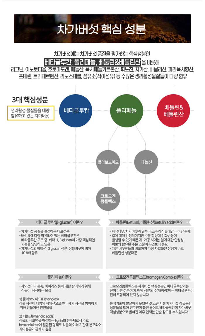 차가버섯 3대 핵심성분 베타글루칸·폴리페놀·베툴린 및 베툴린산